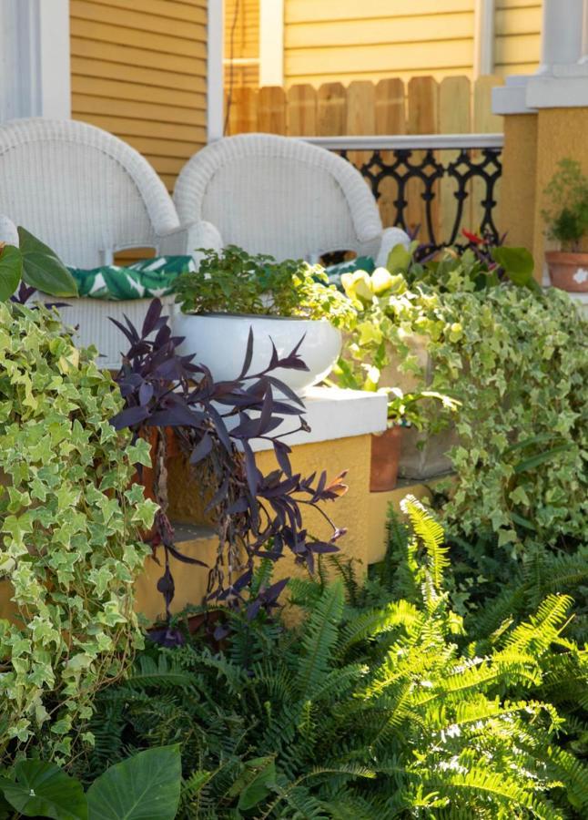 Auld Sweet Olive Bed And Breakfast New Orleans Exteriör bild