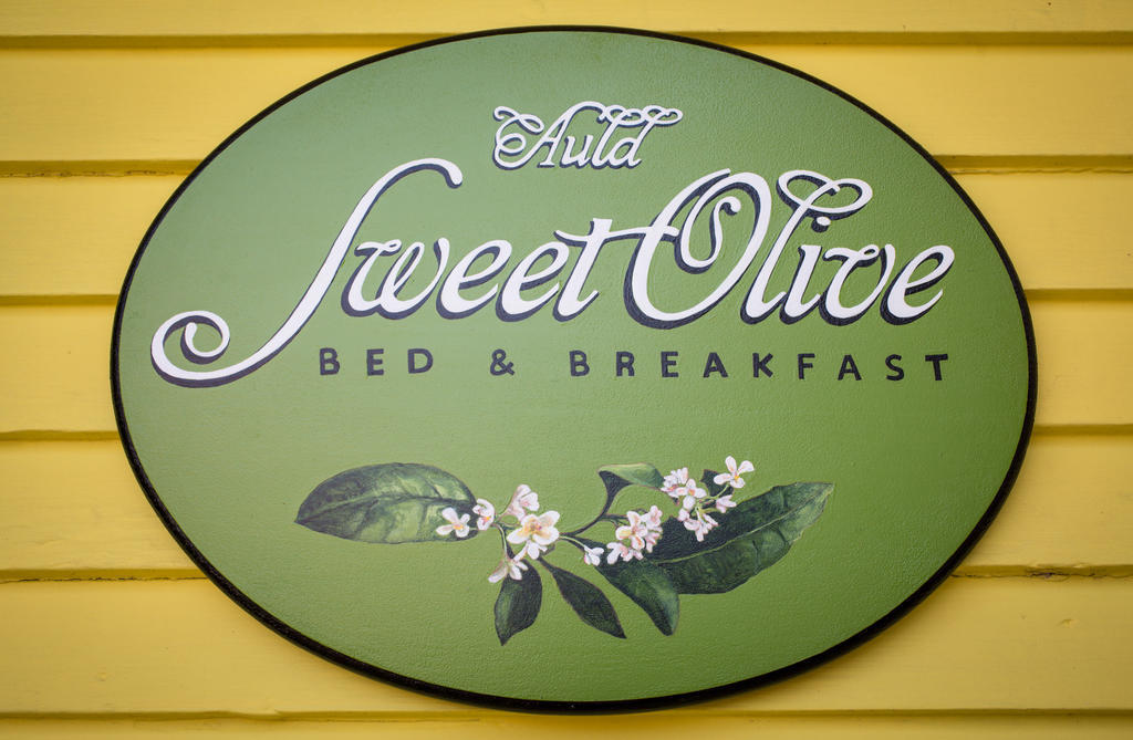Auld Sweet Olive Bed And Breakfast New Orleans Exteriör bild